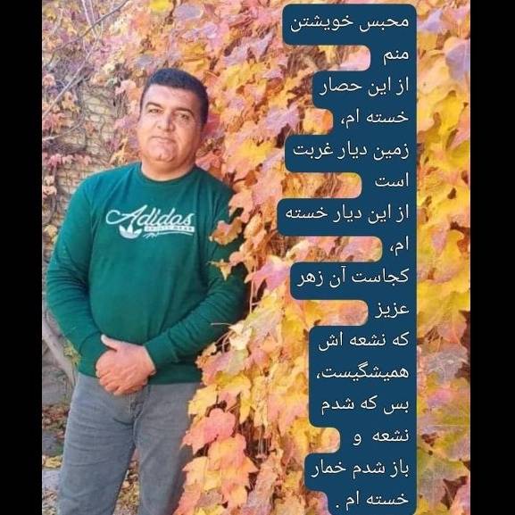 1702879312138.webp