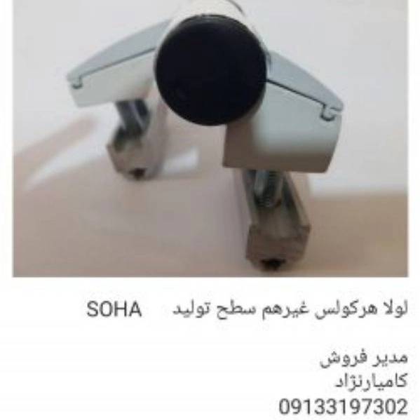 1703070729813.webp