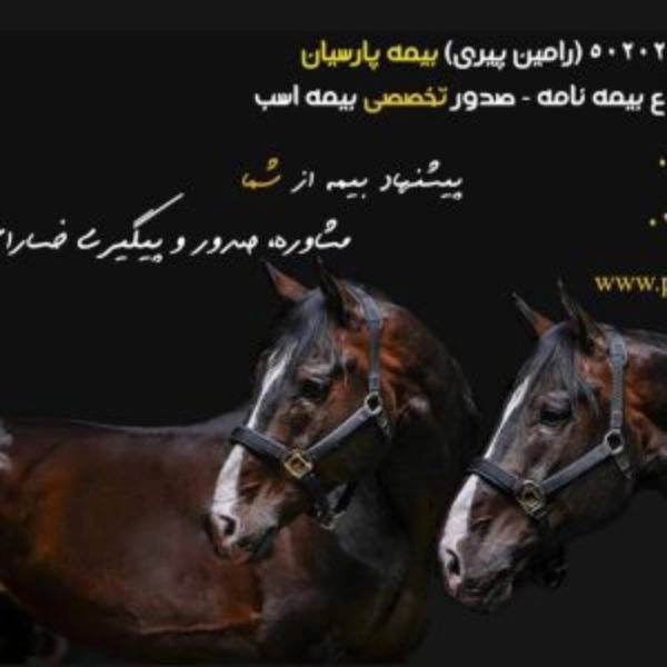 1703326262972.webp