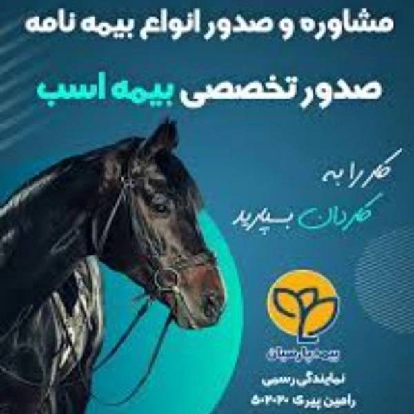 1703326278705.webp