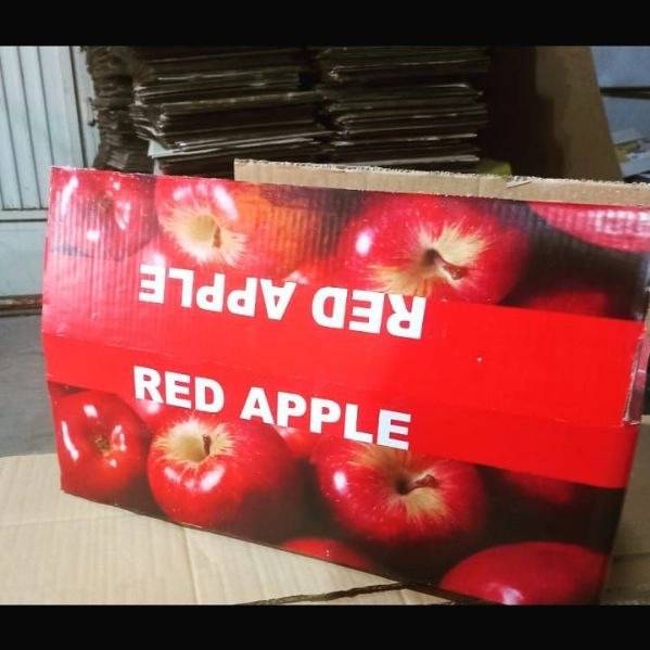 1704014171599.webp