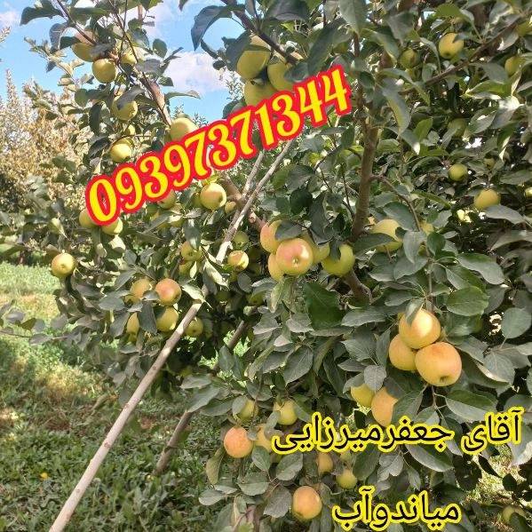 1705123440281.webp