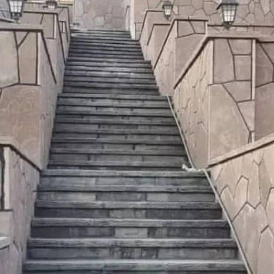 1705477036936.webp