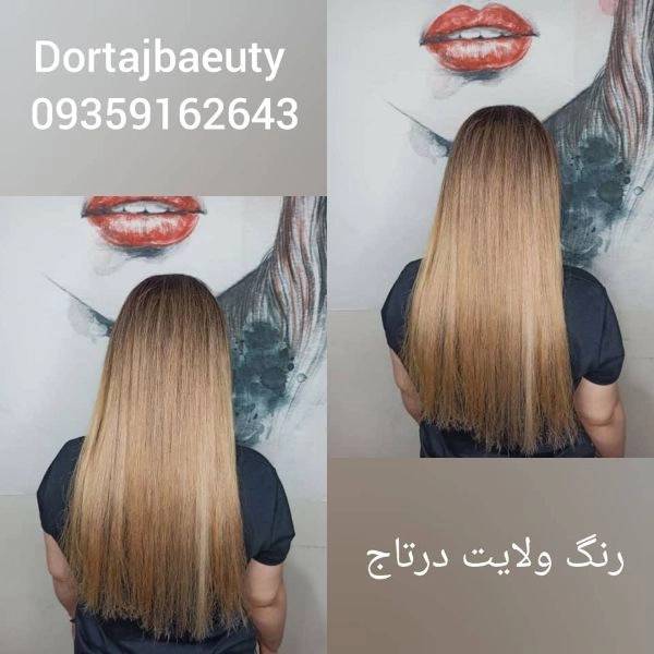 1706334942858.webp
