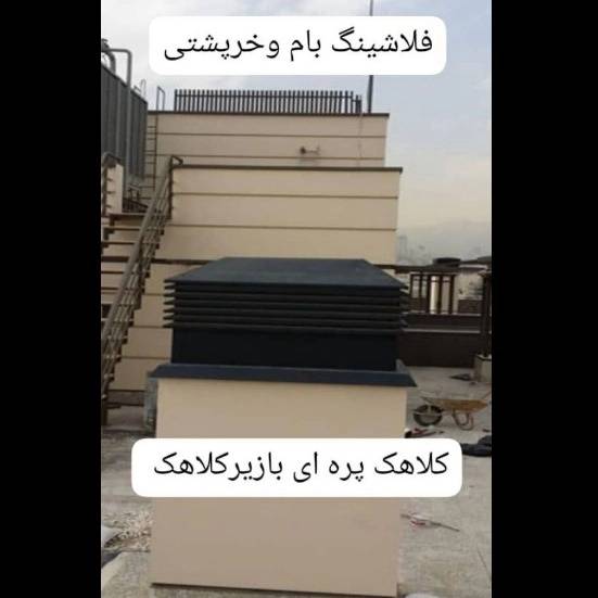 1706952656726.webp