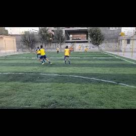 1707110703488.webp