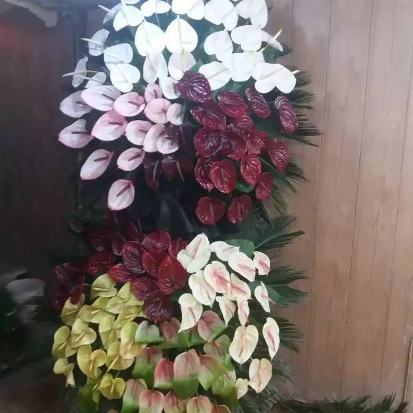 1710398664727.webp