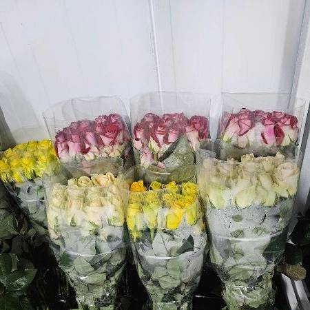 1723108204643.webp