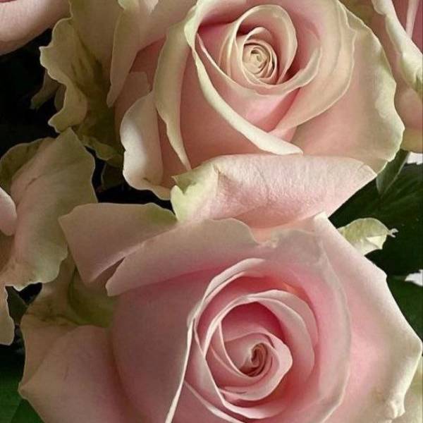 1724308392874.webp