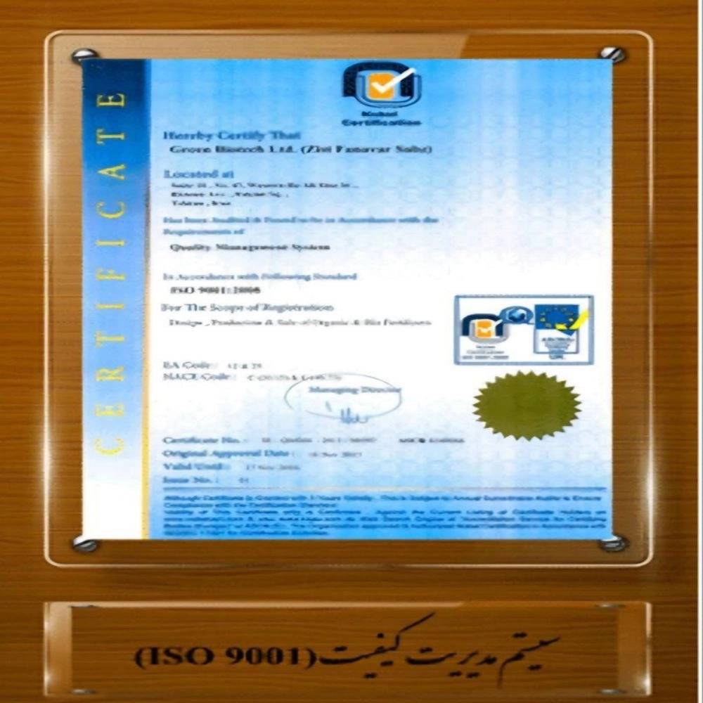 1732945321865.webp