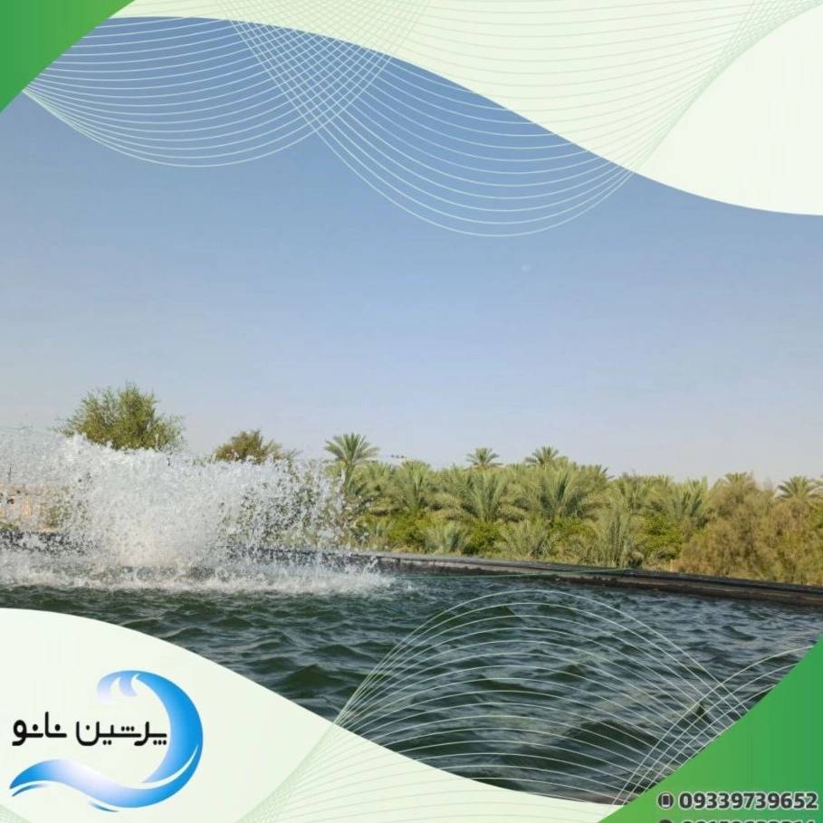 1732981730710.webp