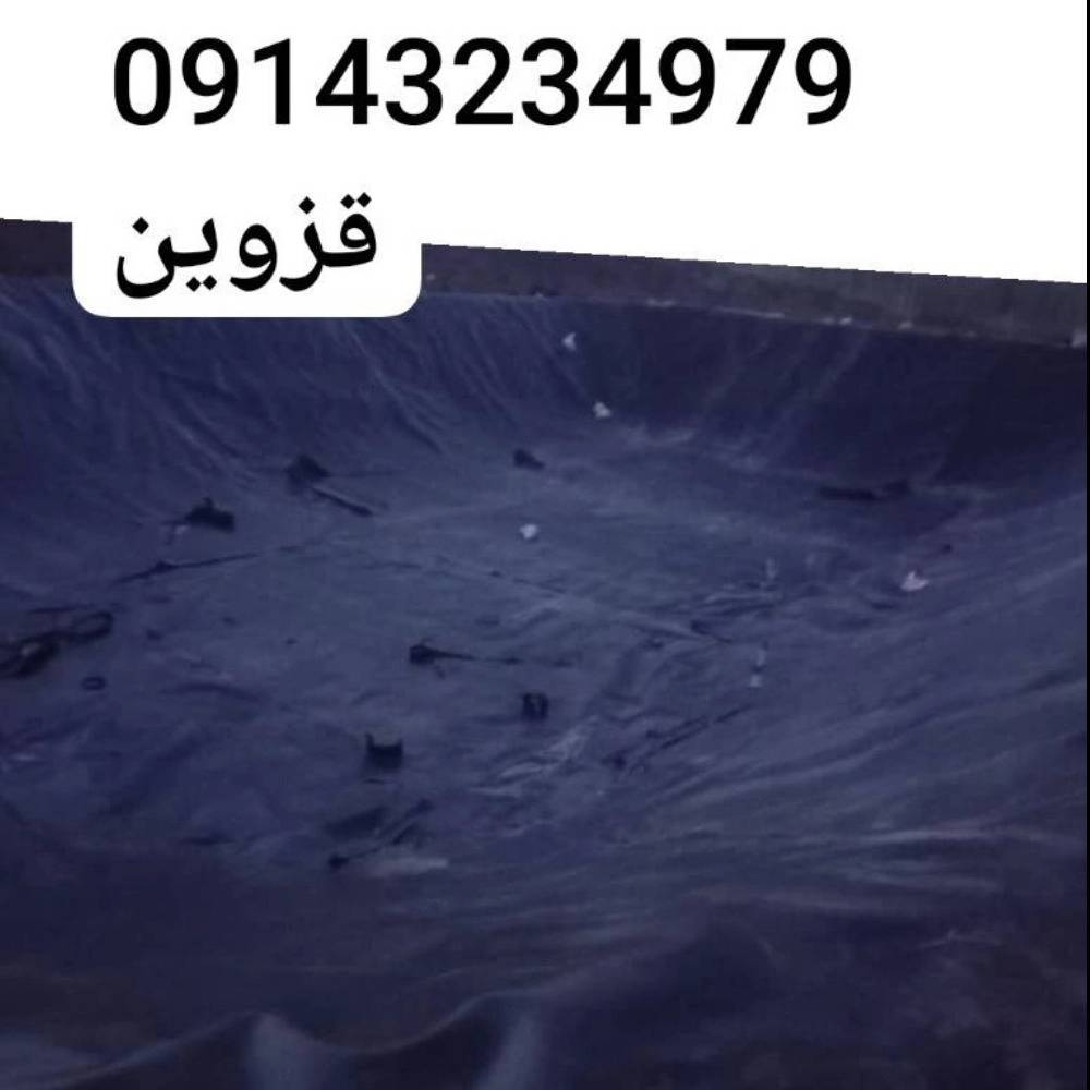 1740474326076.webp