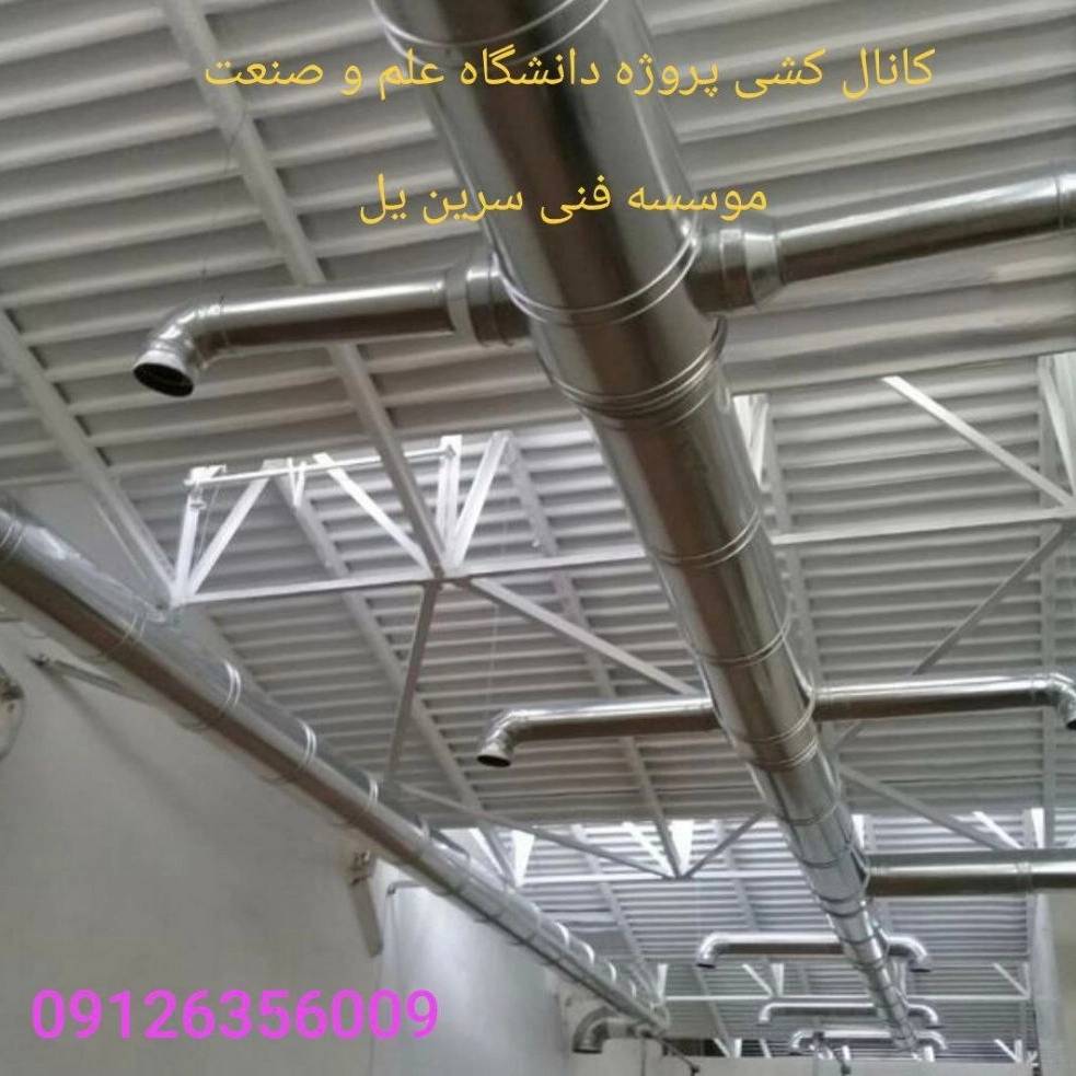 1749467985479.webp