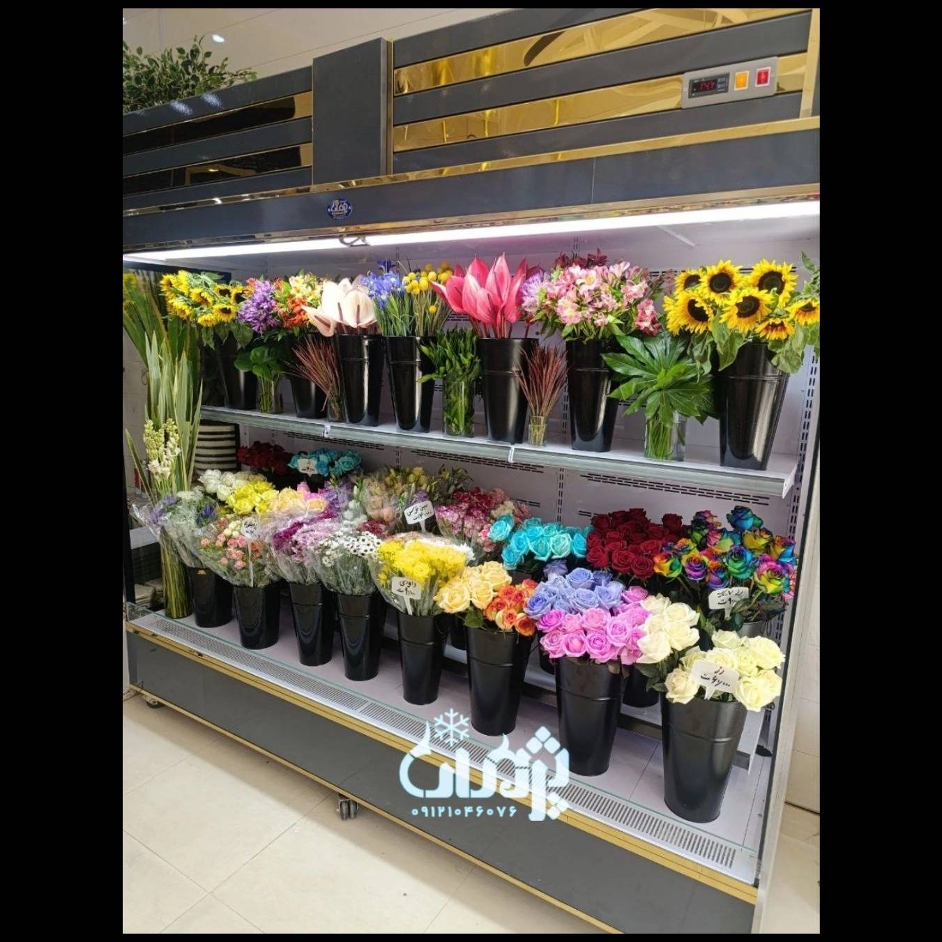 1751445546982.webp