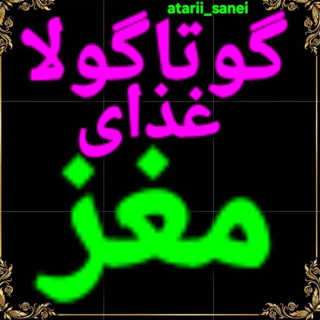 1755595767158.webp