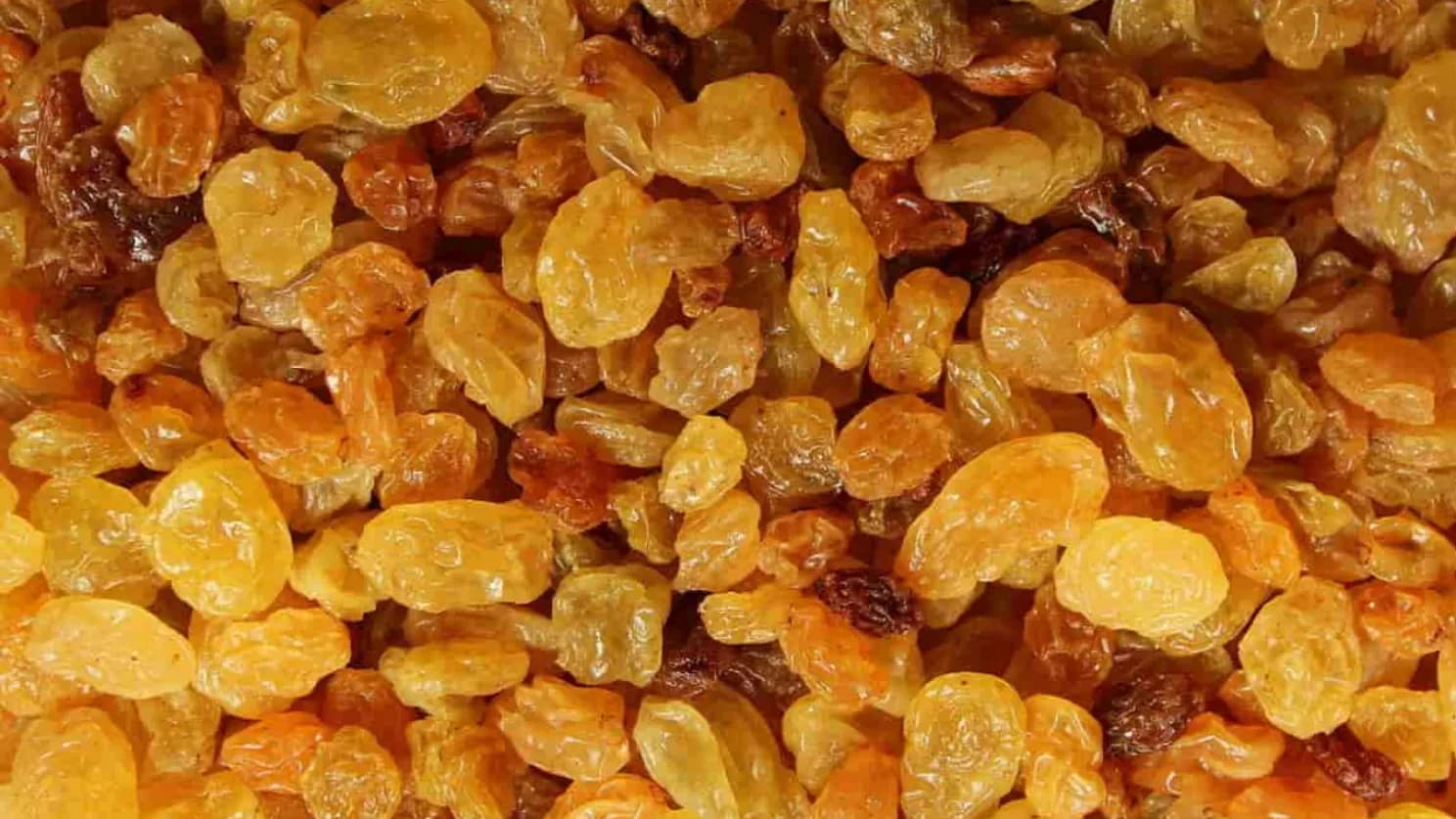 انواع محصولات صادراتی ایران