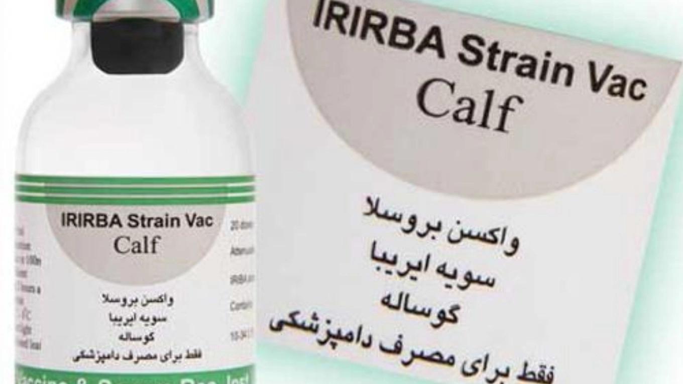 آشنایی با واکسن های دامی ( واكسن بروسلوز گاو (19S) )