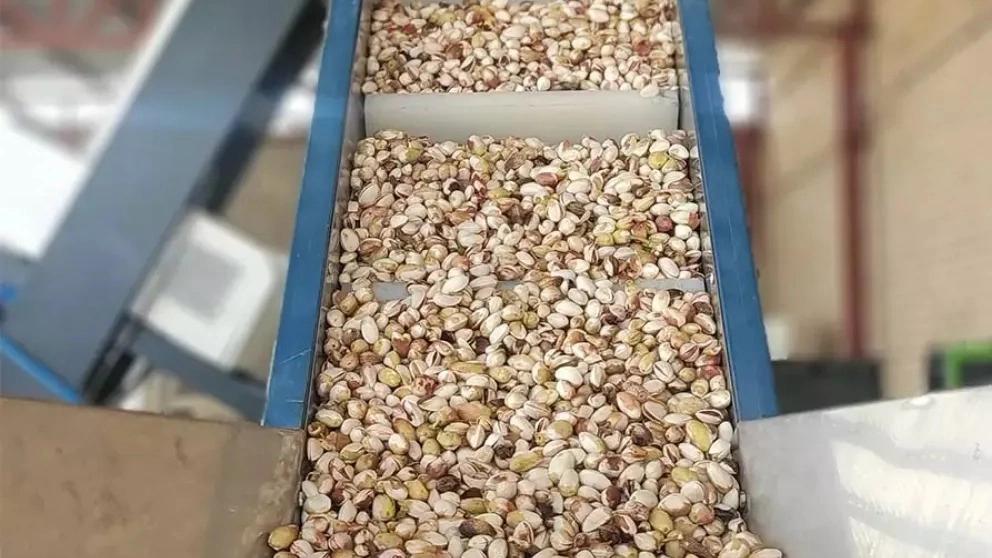 مزایای استفاده از دستگاه سورتینگ پسته