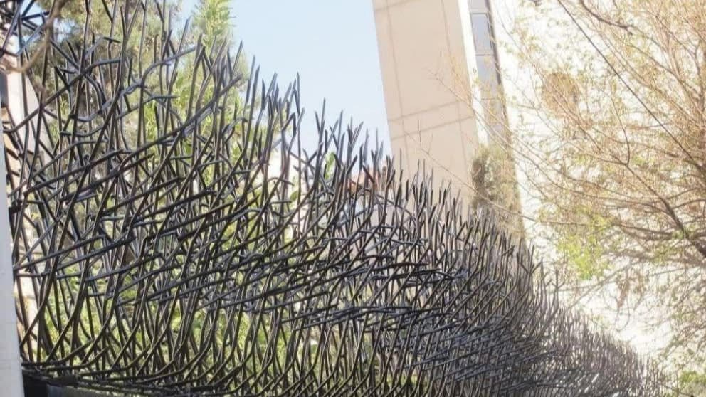حفاظ شاخ گوزنی پاسارگاد