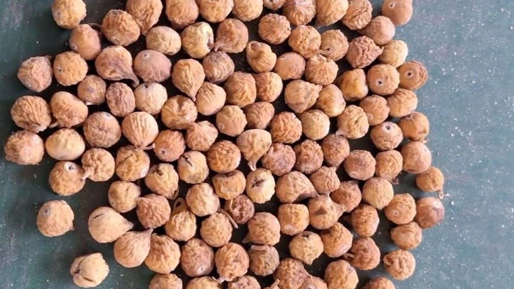 فروش انجیر خشک استهبان