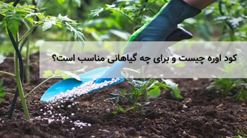 کود اوره برای چه گیاهانی مناسب است؟
