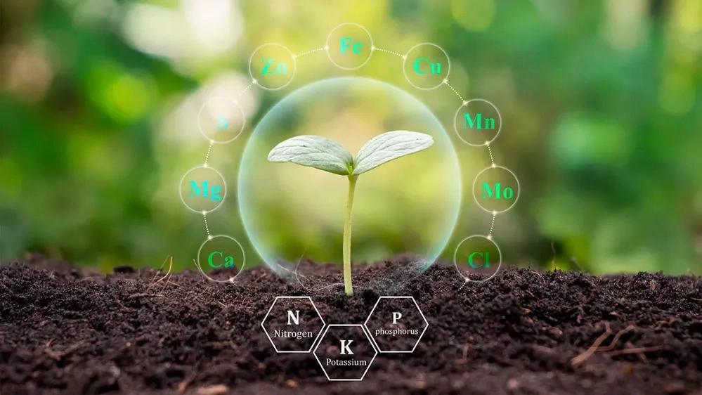 کود بیولوژیکی و مزایای استفاده از آن