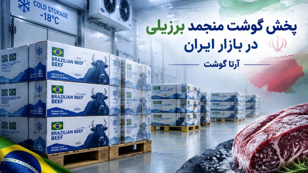 پخش گوشت منجمد برزیلی آرتا با کیفیت تضمینی