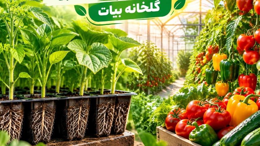 فواید نشا صیفی جات و سبزی و افزایش باردهی