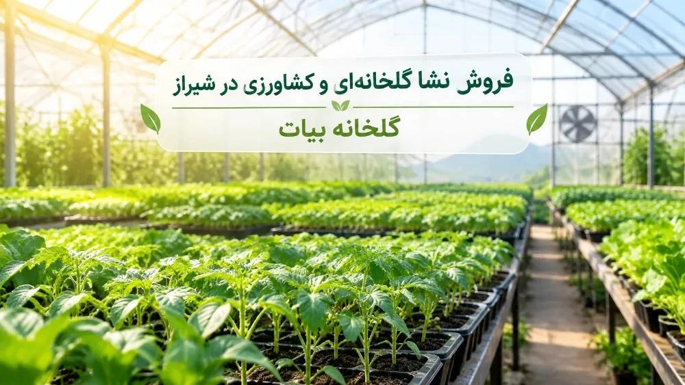 فروش نشا گلخانه‌ای و کشاورزی در شیراز