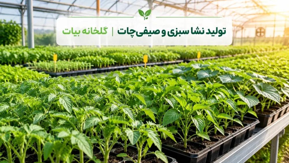مرکز تولید نشا سبزی و صیفی در شیراز
