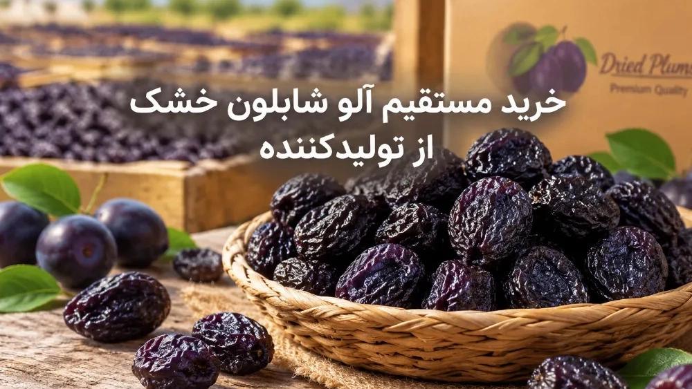 خرید مستقیم آلو شابلون خشک از تولیدکننده