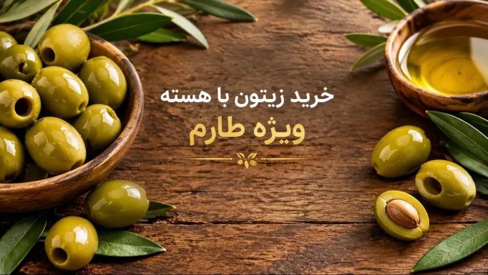 خرید زیتون با هسته ویژه طارم از بازرگانی هیراد با بهترین قیمت بازار