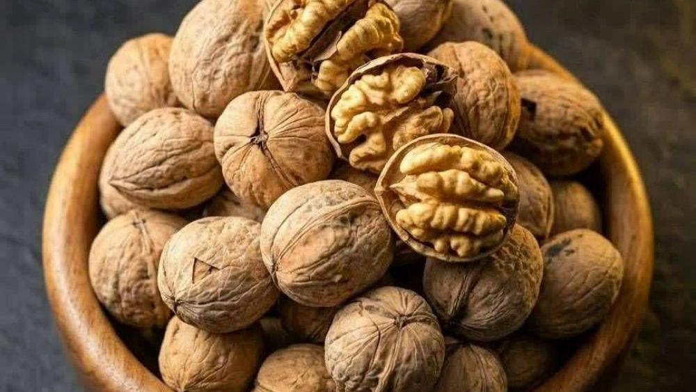 صادرات گردو به سراسر جهان از تولیدکننده ایرانی