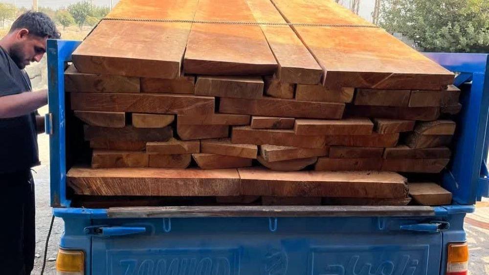 مرکز پخش مستقیم الوار خام چوب جنگلی به سراسر استان‌های ایران
