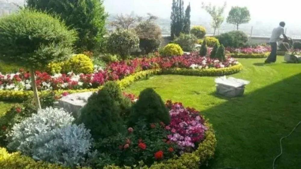 بهترین مرکز خدمات باغبانی در شهریار با ضمانت سلامت درختان و گیاهان