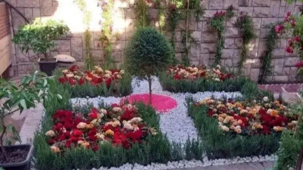 بهترین خدمات باغبانی و نگهداری فضای سبز در تهران
