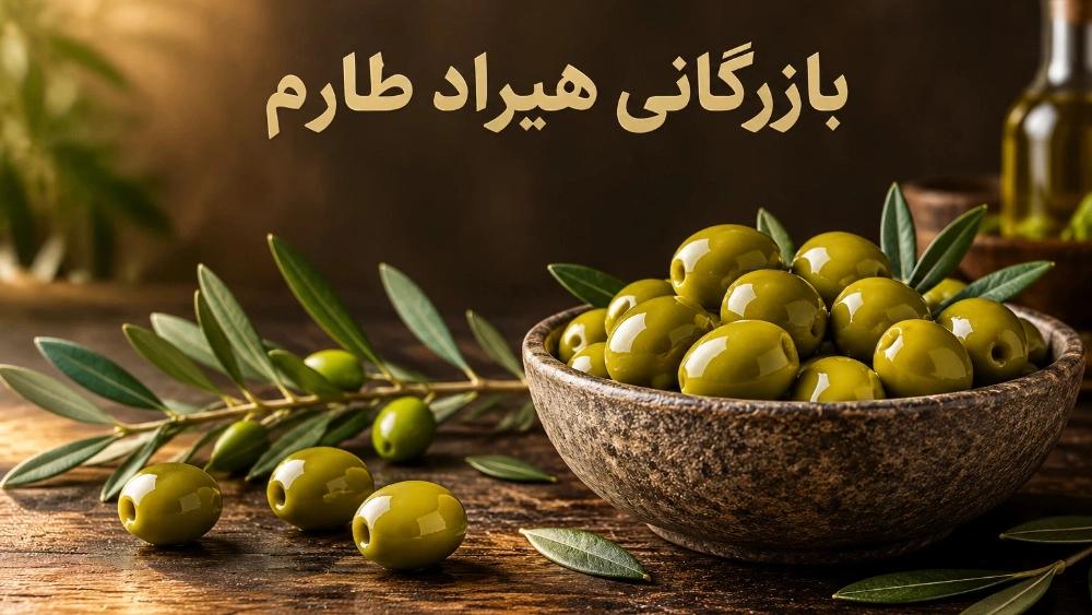 خرید عمده و جزئی زیتون کنسروی شور درجه یک از بازرگانی هیراد طارم