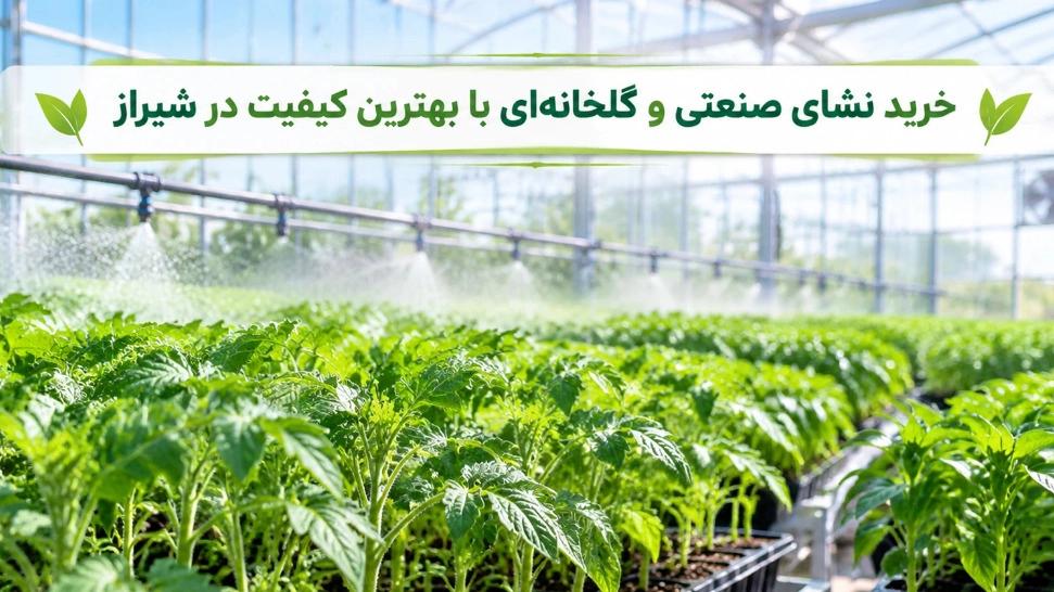 خرید نشای صنعتی و گلخانه‌ای با بهترین کیفیت در شیراز