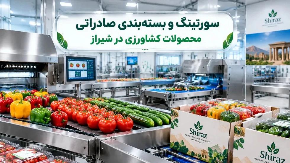 سورتینگ و بسته‌بندی صادراتی محصولات کشاورزی در شیراز