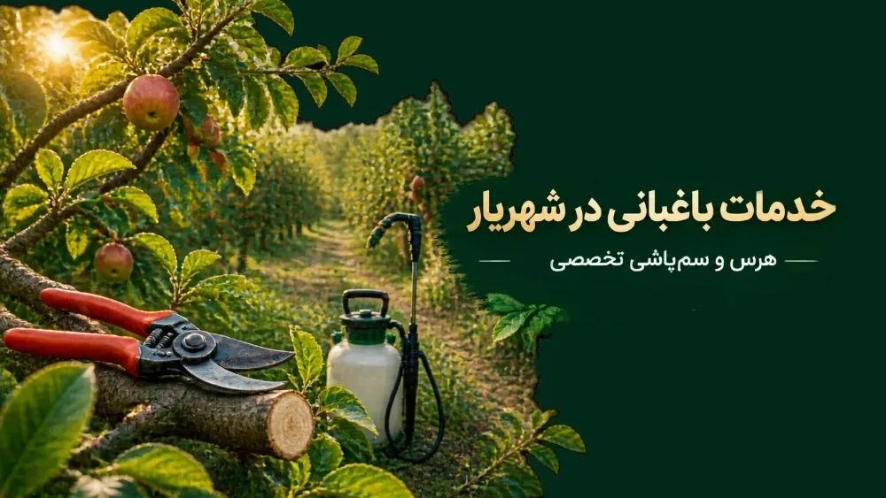 خدمات باغبانی در شهریار شامل هرس و سم پاشی