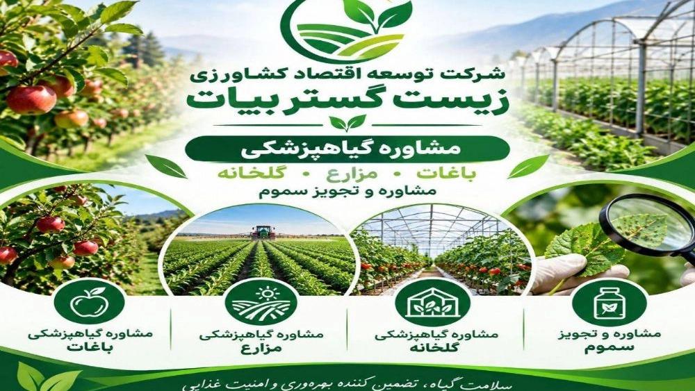 تشخیص آفات و بیماری‌های گیاهی و تجویز سموم مجاز کشاورزی