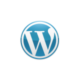 WordPress theme and plugin