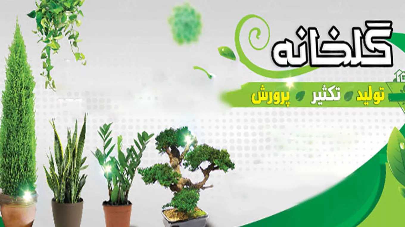 قصر گل حیدری در عباس آباد