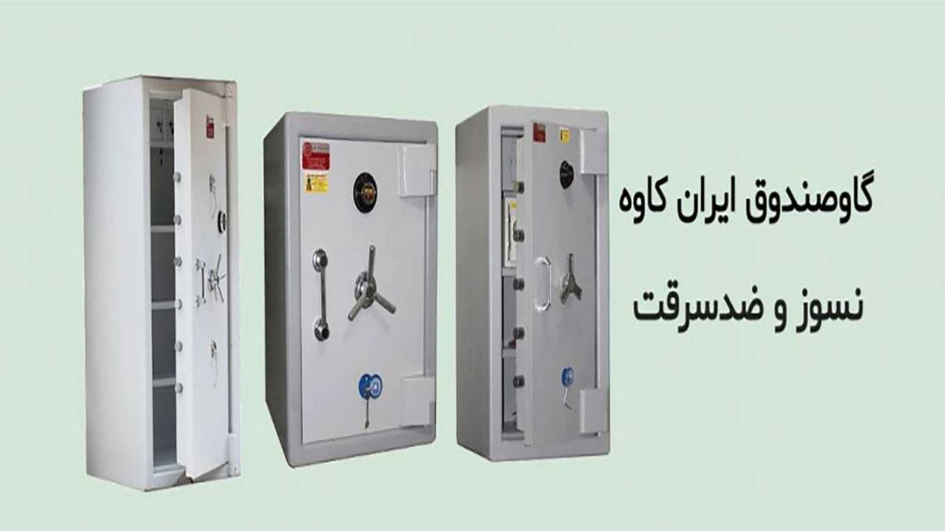 فروش گاو صندوق کاوه در اردکان یزد