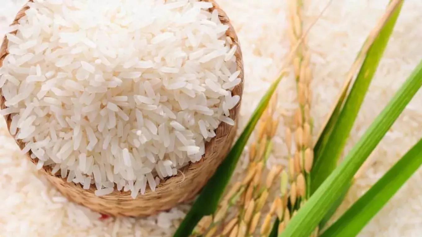 روش نگهداری برنج تازه