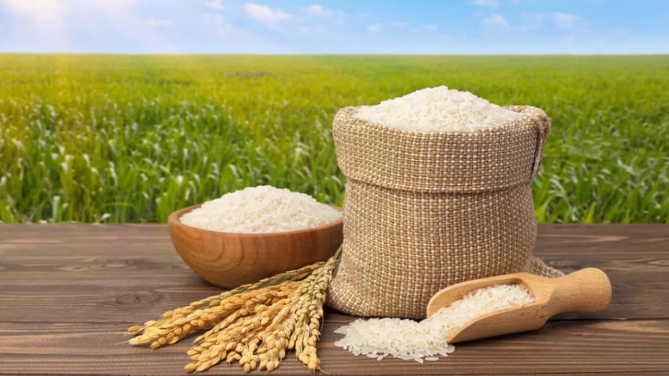 روشهای تشخیص برنج مرغوب ایرانی
