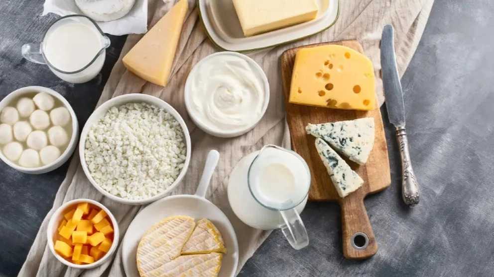 بازرگانی و فروش انواع لبنیات هاشم زاده در خراسان رضوی