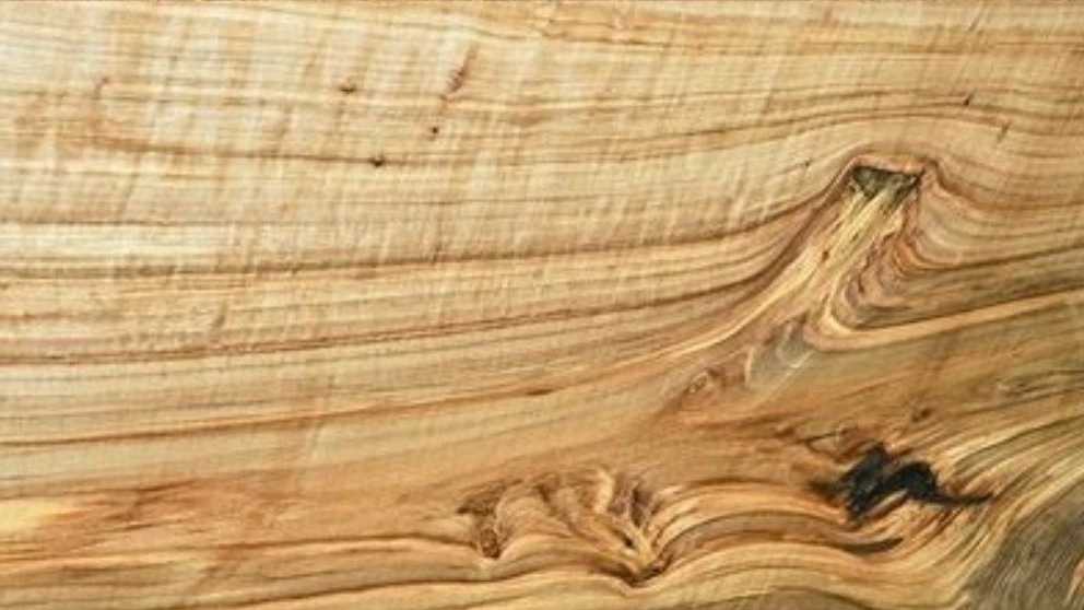 انواع چوب مصرفی در صنعت مبلمان