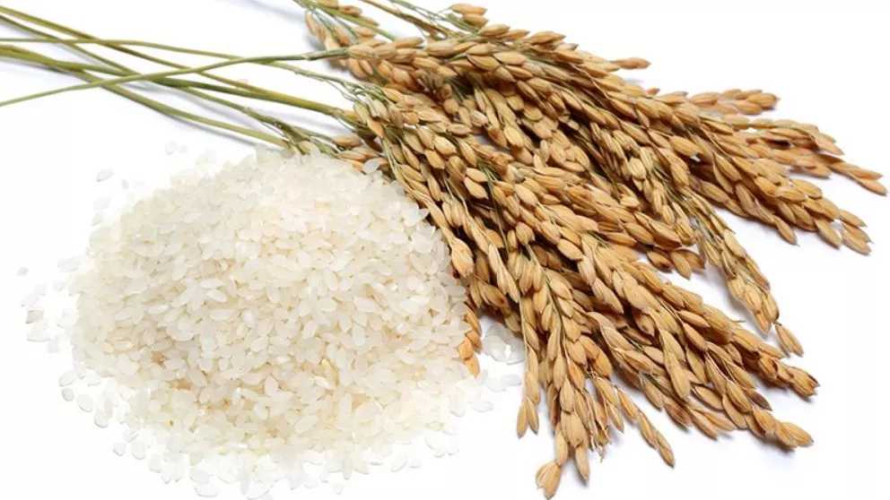 بهترین روشهای پخت برنج ایرانی
