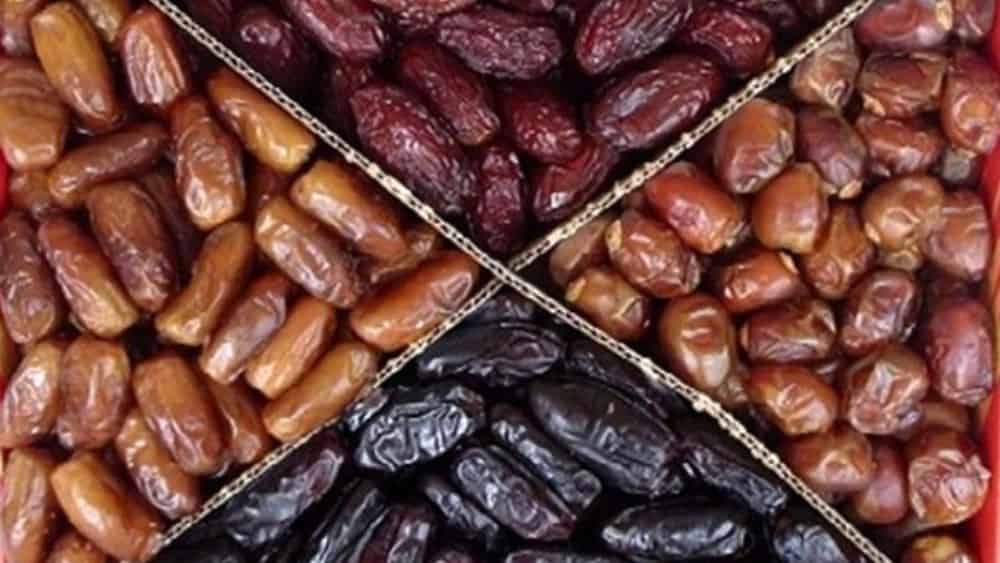 معروف ترین انواع خرما